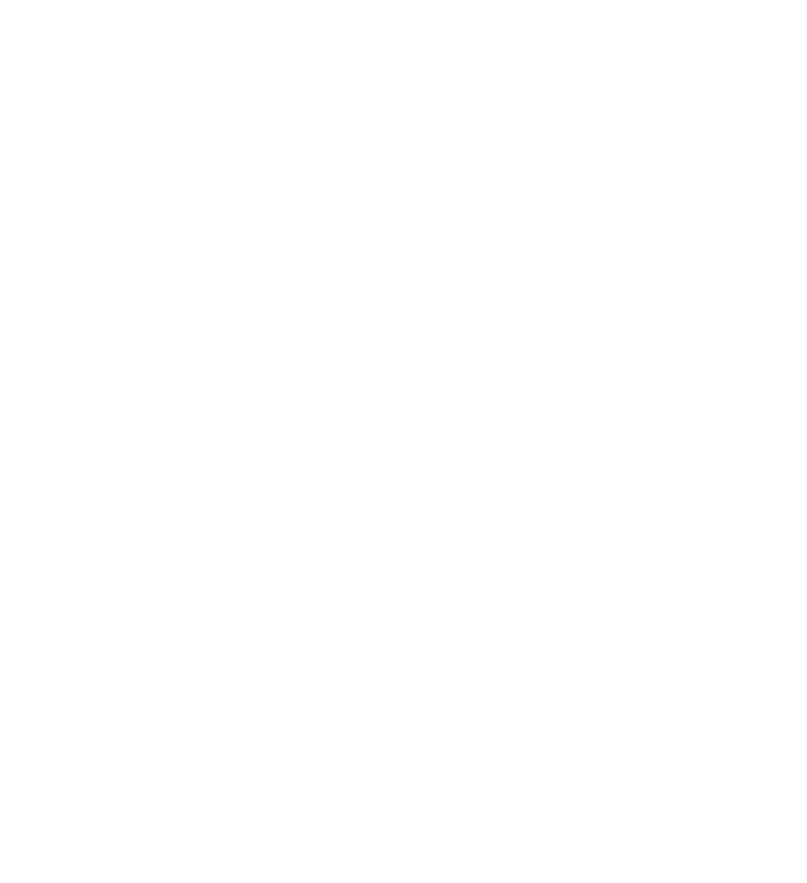 fly logo